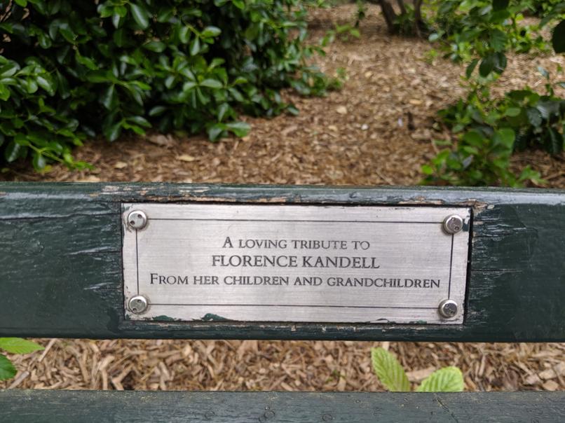 I saw this bench in Central Park