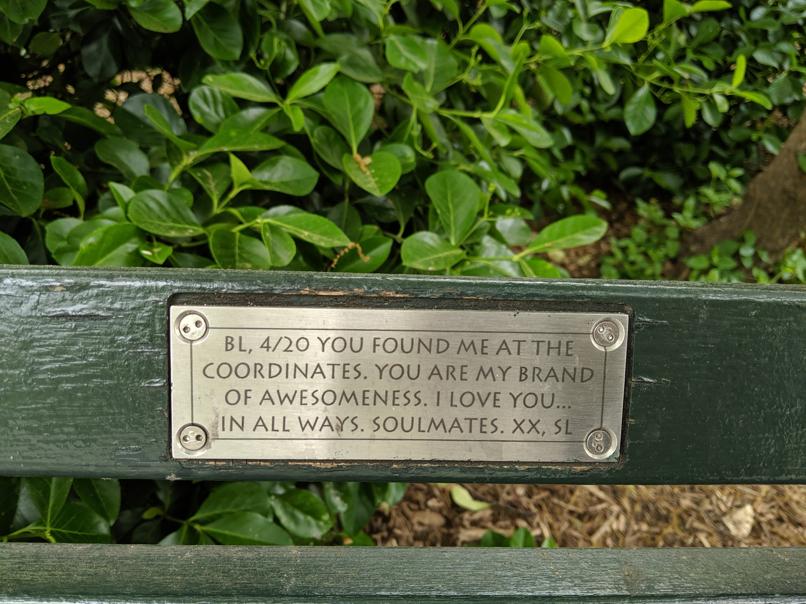 I saw this bench in Central Park