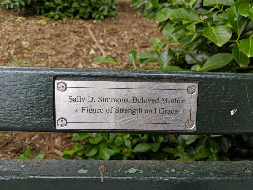 I saw this bench in Central Park