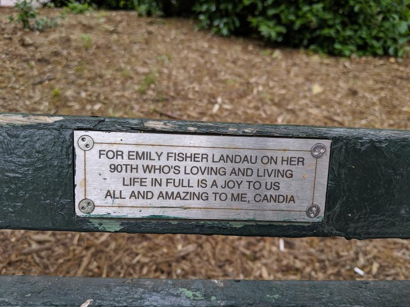 I saw this bench in Central Park