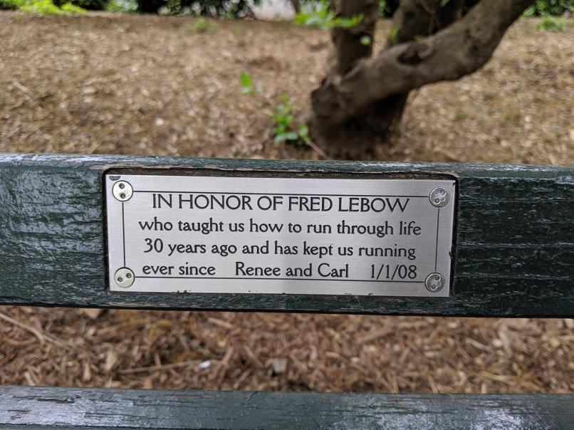 I saw this bench in Central Park