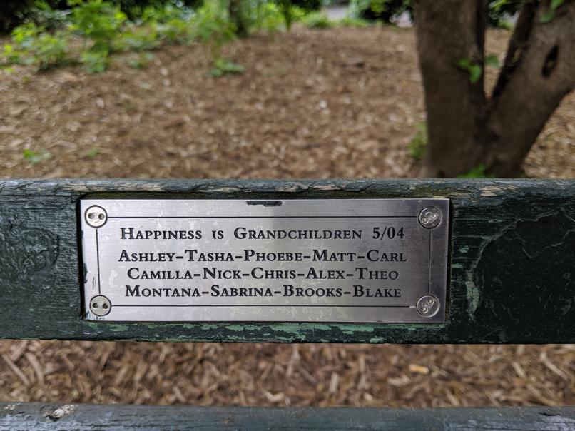 I saw this bench in Central Park