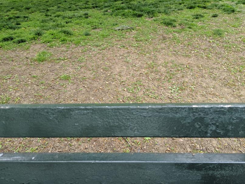 I saw this bench in Central Park