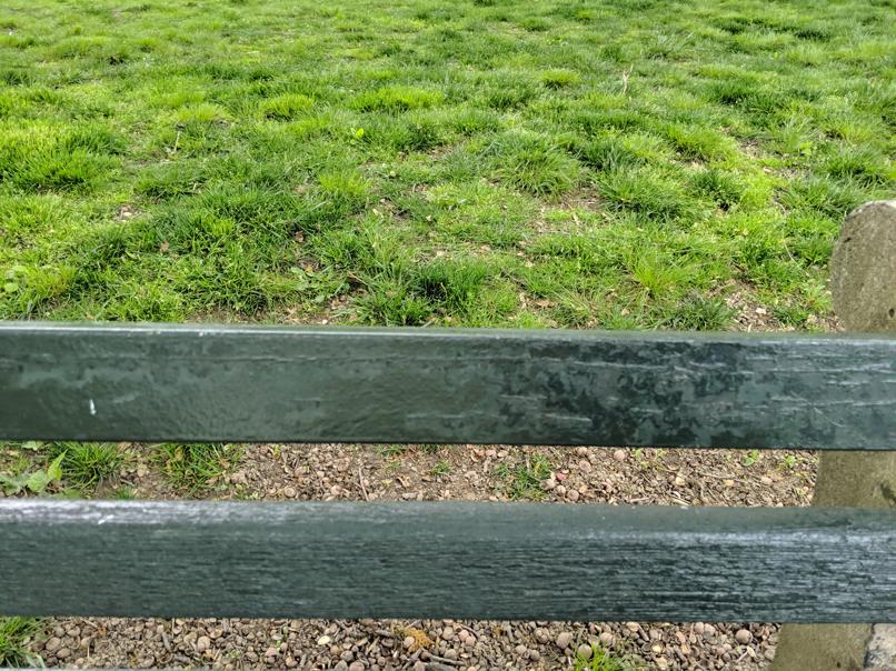 I saw this bench in Central Park