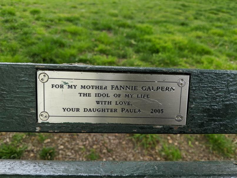 I saw this bench in Central Park