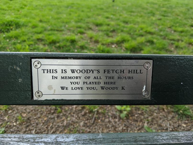 I saw this bench in Central Park