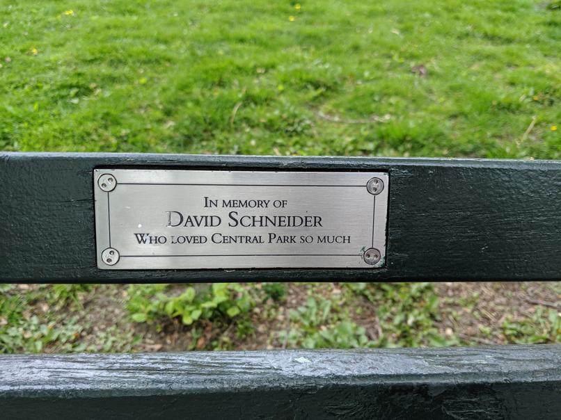 I saw this bench in Central Park