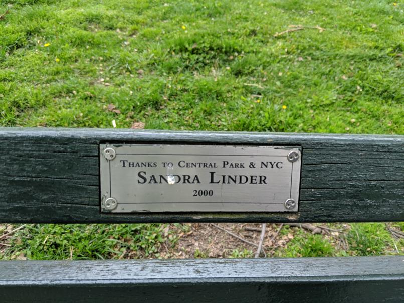 I saw this bench in Central Park