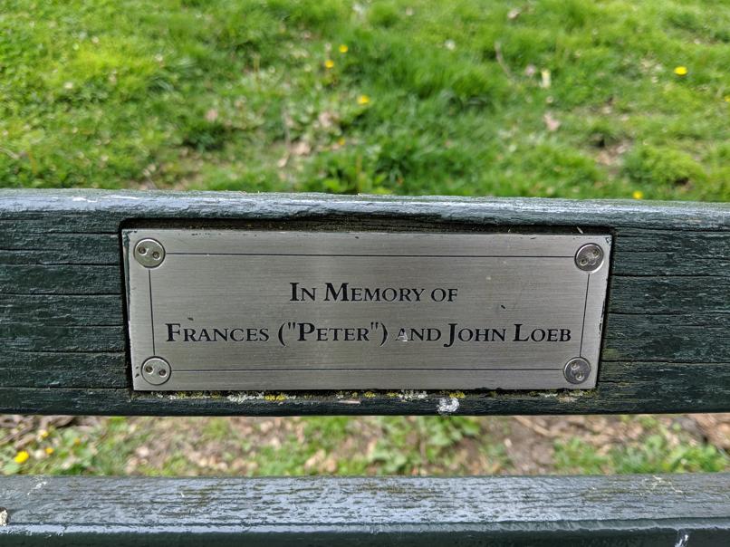 I saw this bench in Central Park