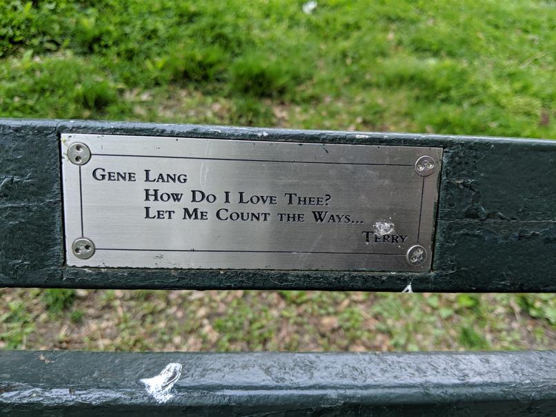 I saw this bench in Central Park