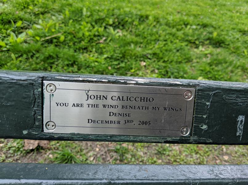 I saw this bench in Central Park