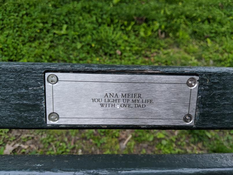 I saw this bench in Central Park