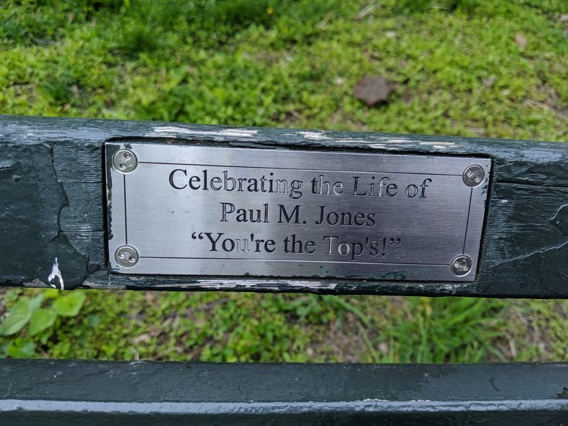 I saw this bench in Central Park