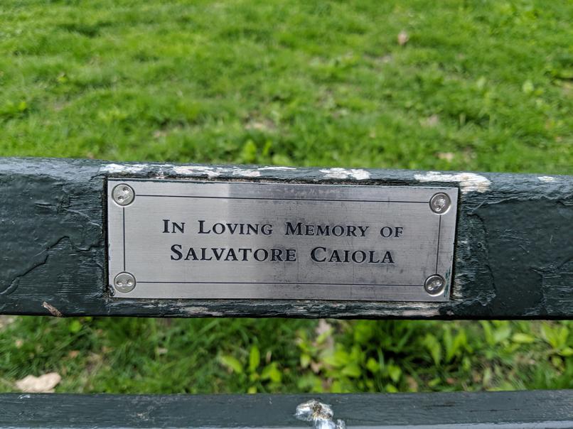 I saw this bench in Central Park