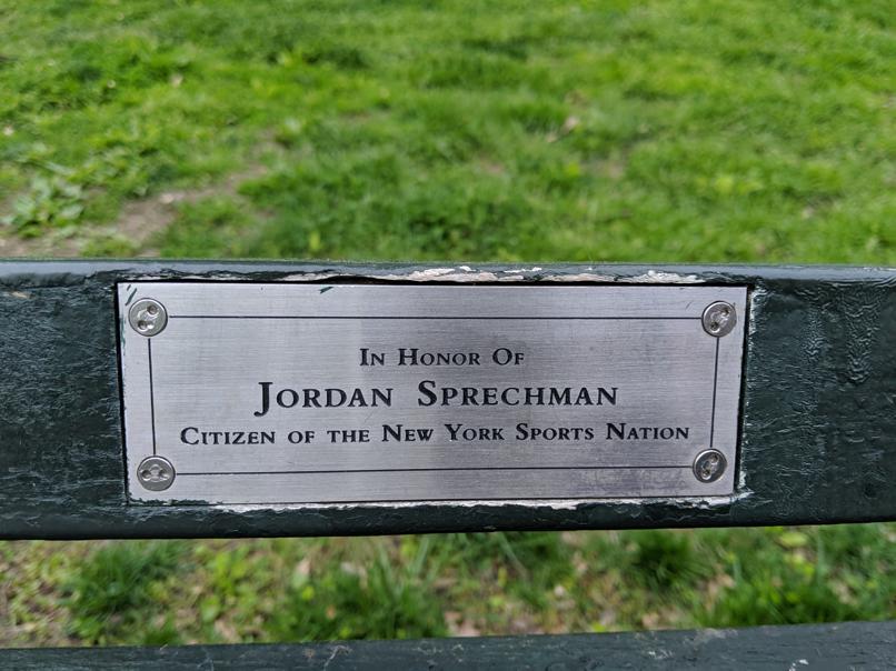 I saw this bench in Central Park