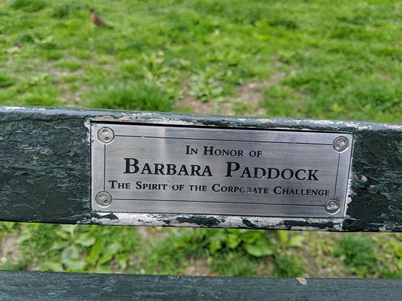 I saw this bench in Central Park