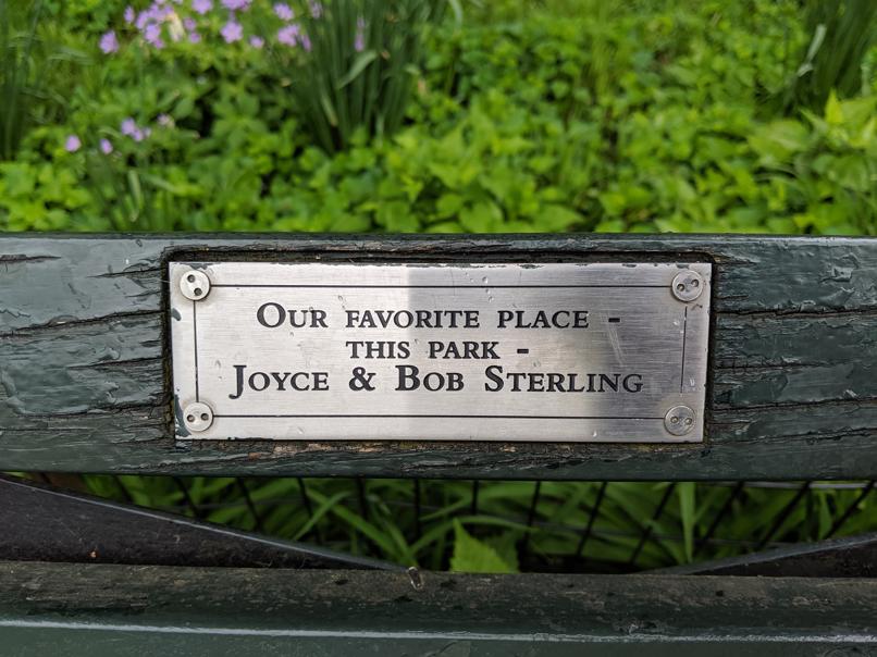 I saw this bench in Central Park