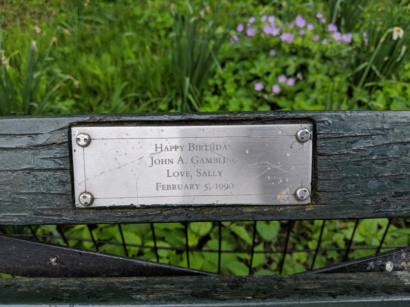 I saw this bench in Central Park