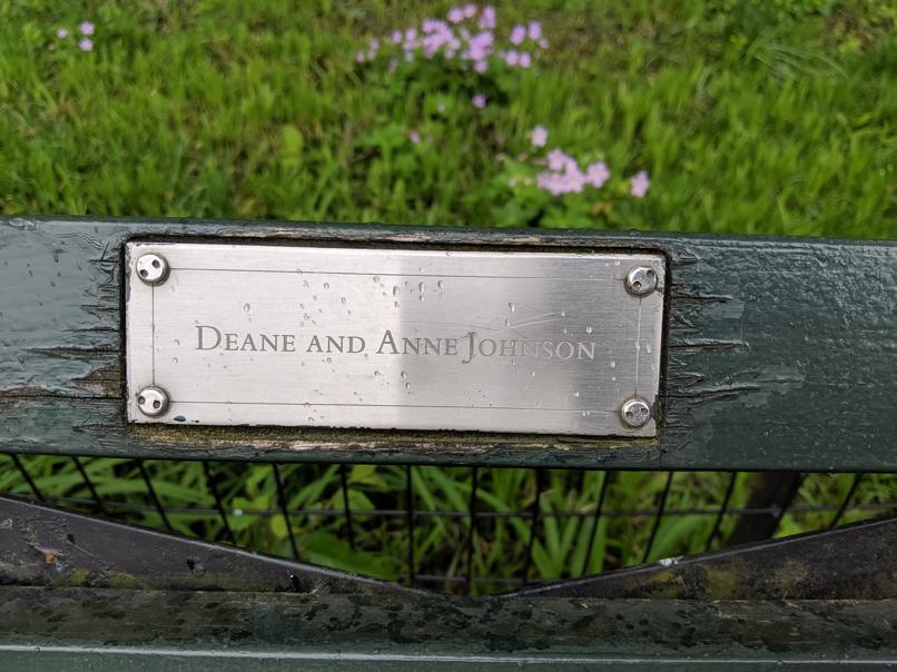 I saw this bench in Central Park