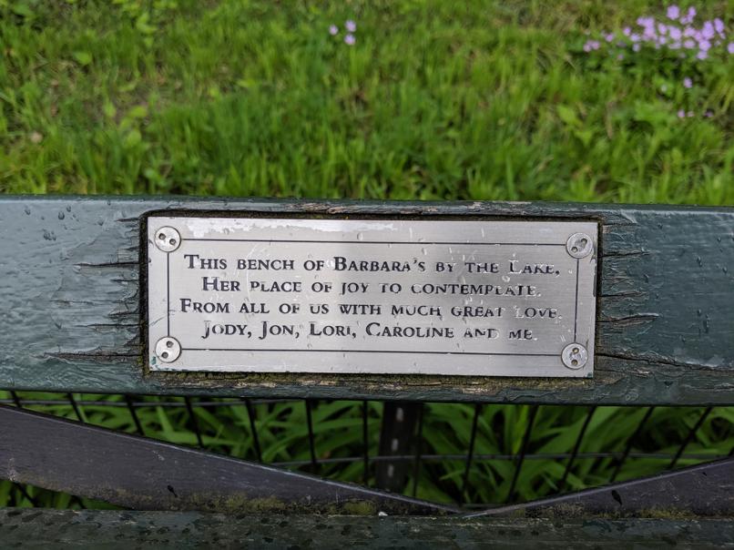 I saw this bench in Central Park