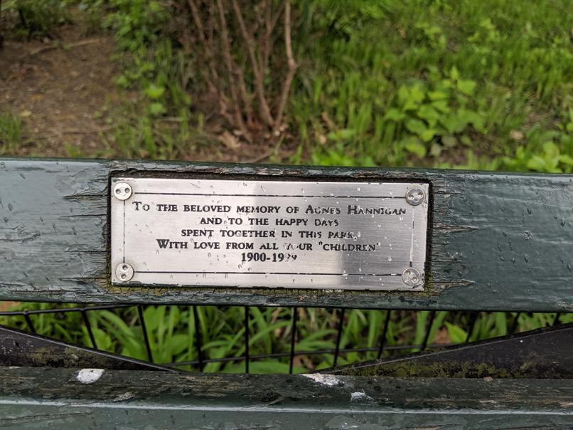 I saw this bench in Central Park