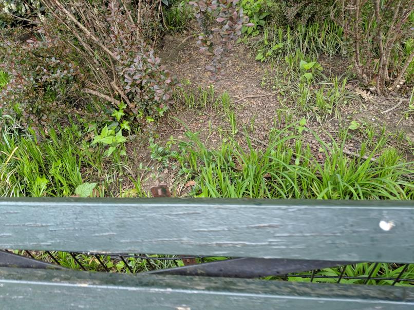 I saw this bench in Central Park