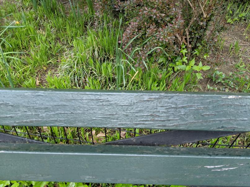 I saw this bench in Central Park