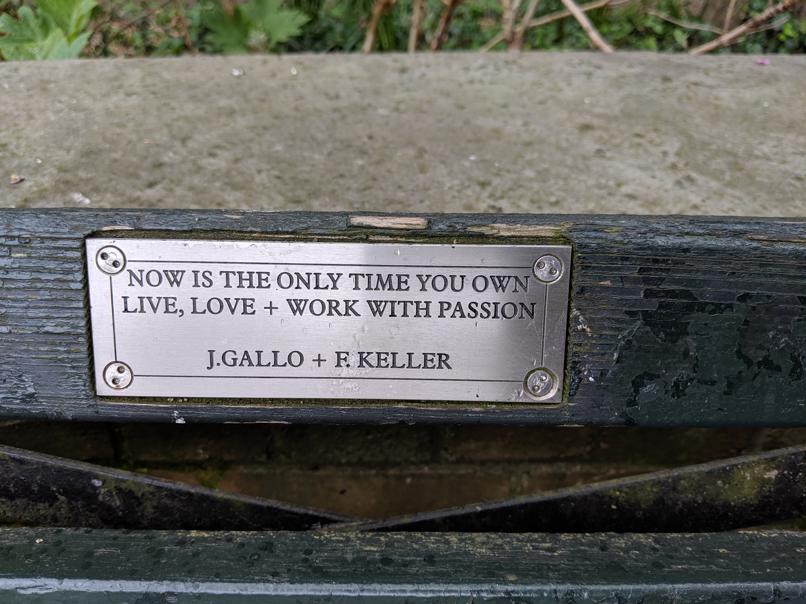 I saw this bench in Central Park