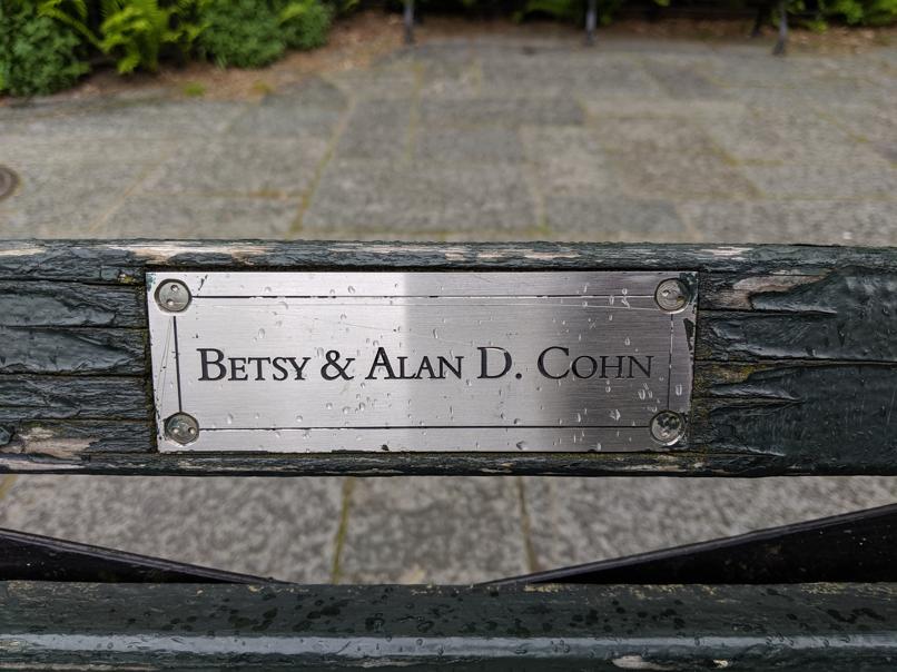 I saw this bench in Central Park