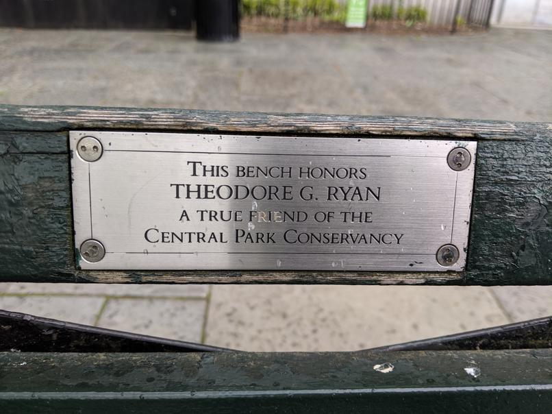 I saw this bench in Central Park