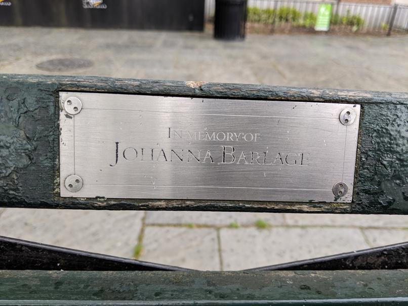 I saw this bench in Central Park