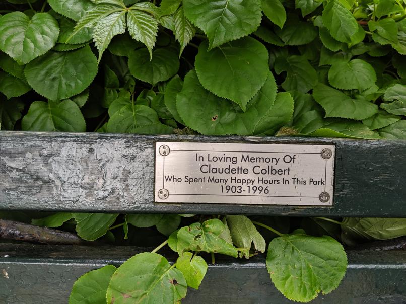 I saw this bench in Central Park