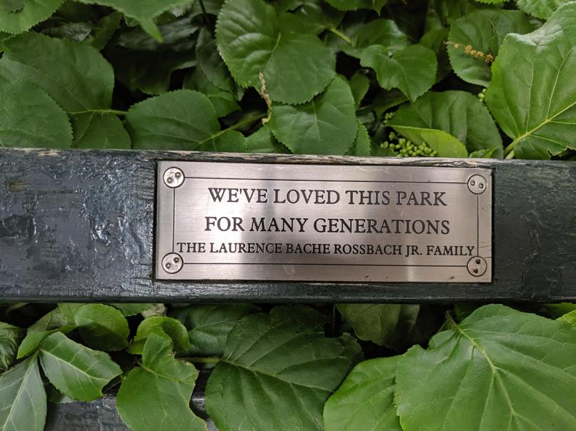 I saw this bench in Central Park