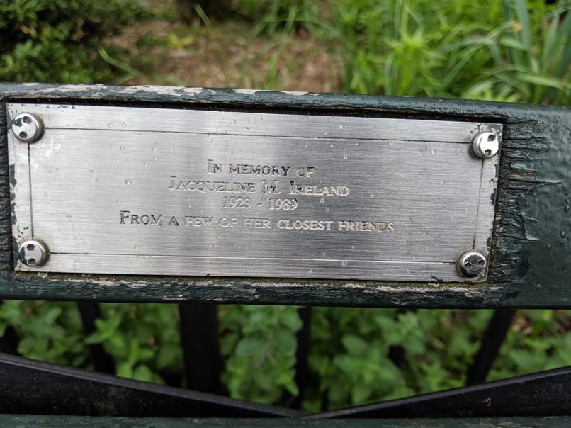 I saw this bench in Central Park