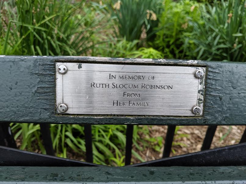 I saw this bench in Central Park