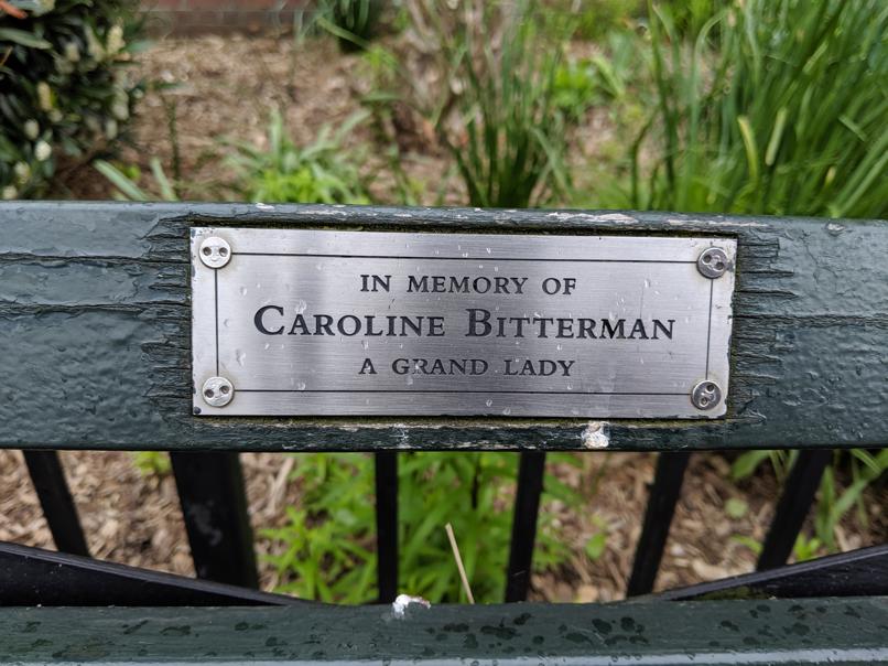 I saw this bench in Central Park