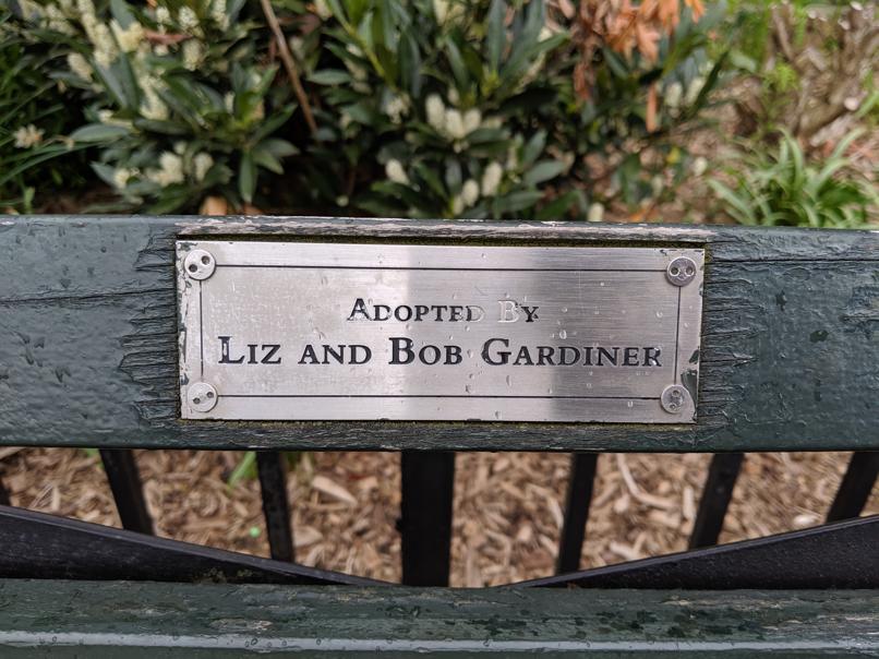 I saw this bench in Central Park