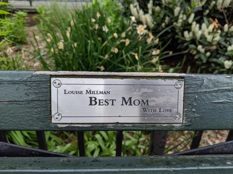 I saw this bench in Central Park