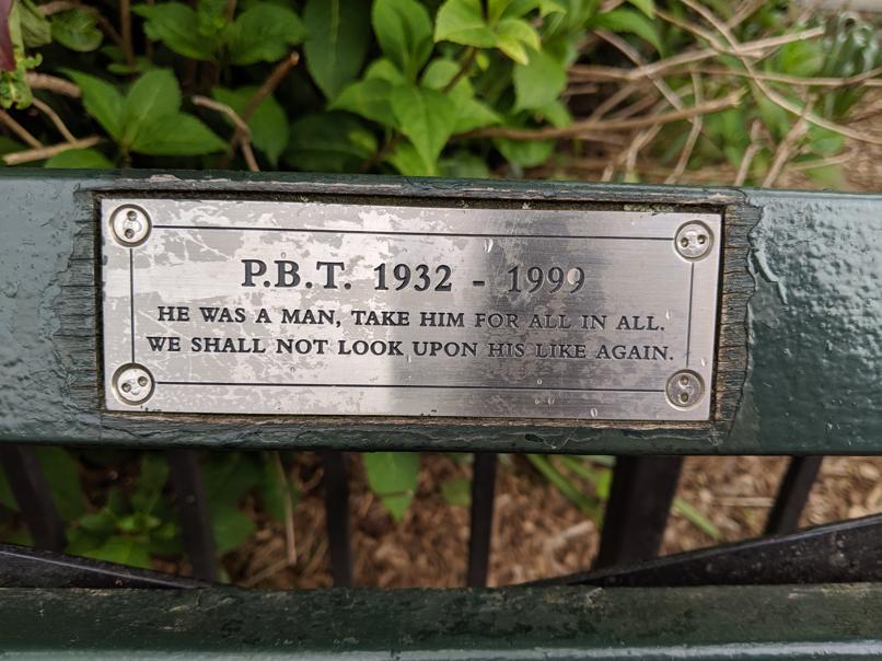 I saw this bench in Central Park