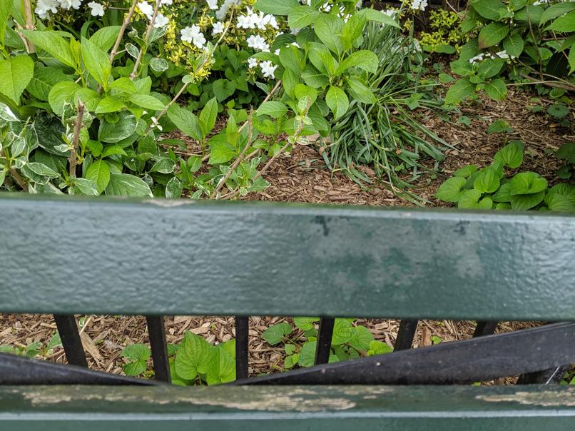 I saw this bench in Central Park