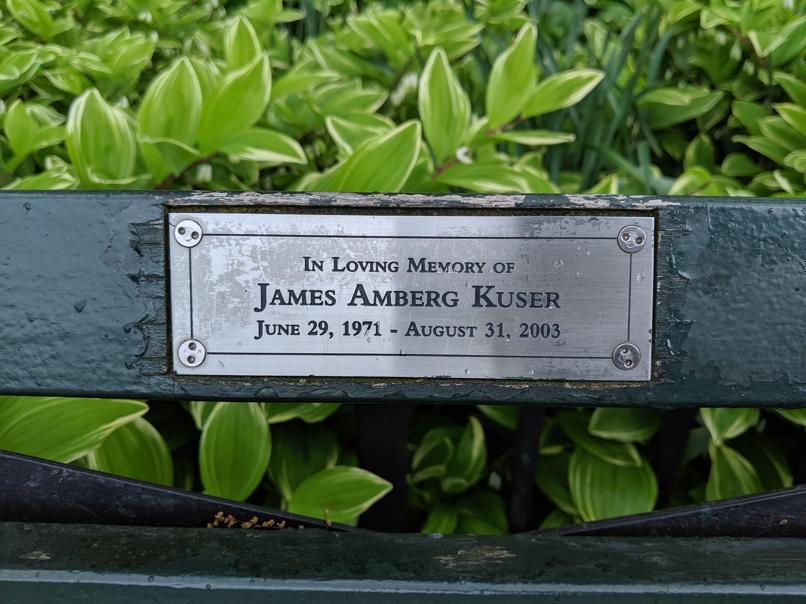 I saw this bench in Central Park