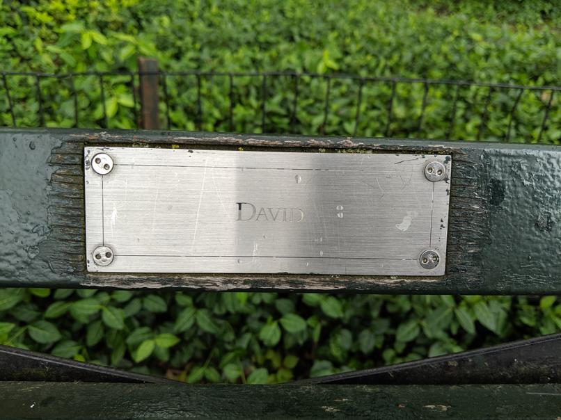 I saw this bench in Central Park