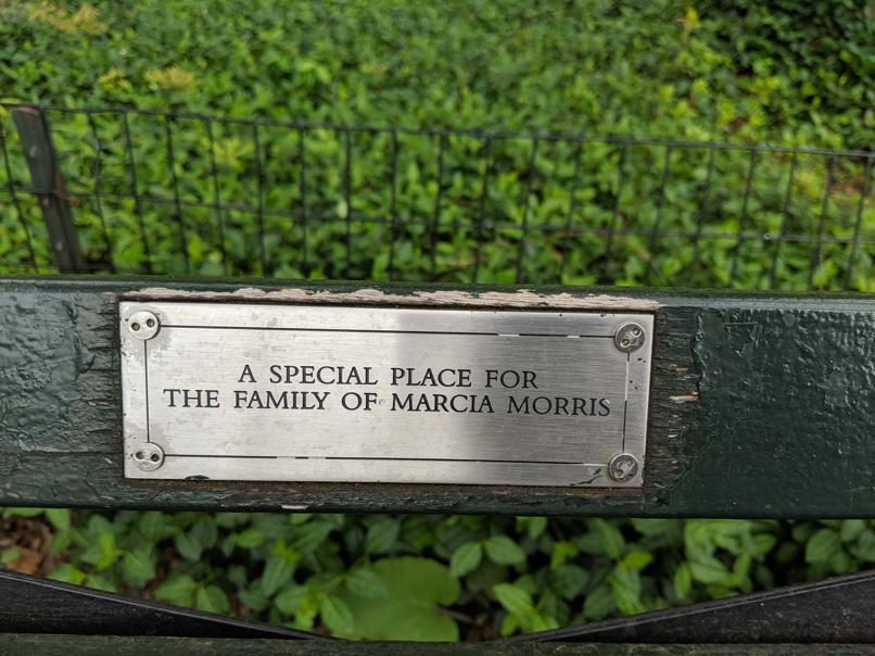 I saw this bench in Central Park