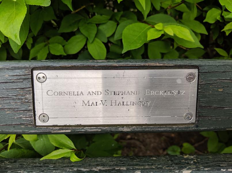 I saw this bench in Central Park