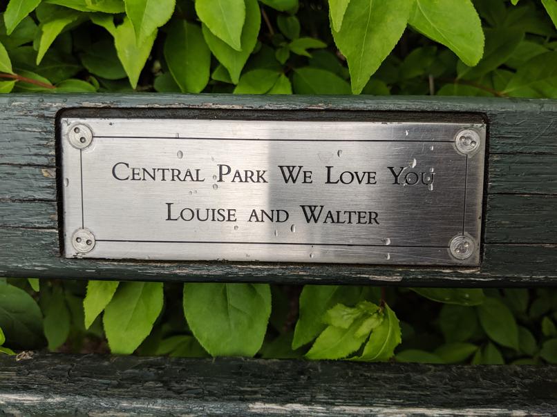 I saw this bench in Central Park