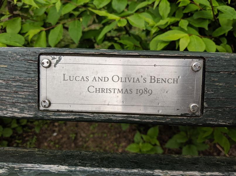 I saw this bench in Central Park