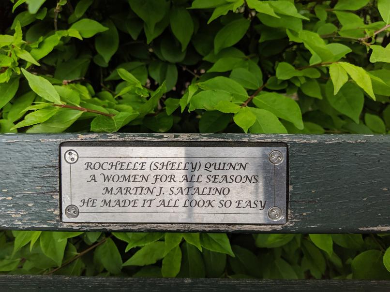 I saw this bench in Central Park