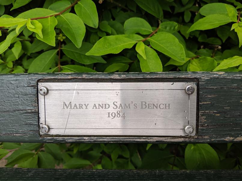 I saw this bench in Central Park