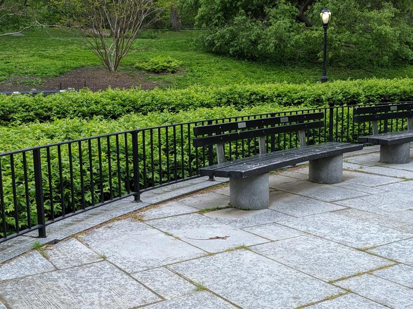 I saw this bench in Central Park