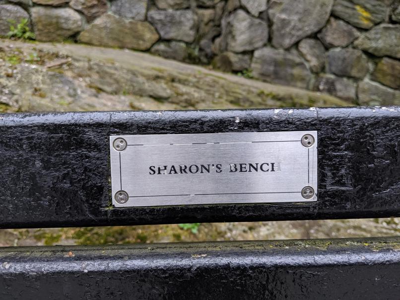 I saw this bench in Central Park